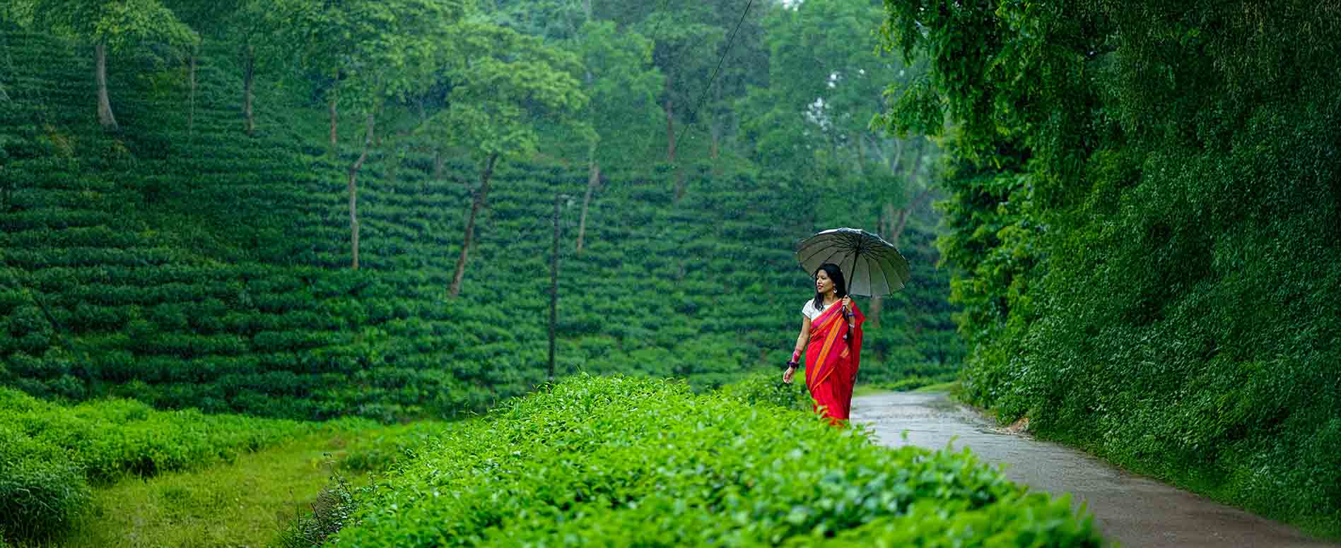 Sreemangal Immersive Experiences